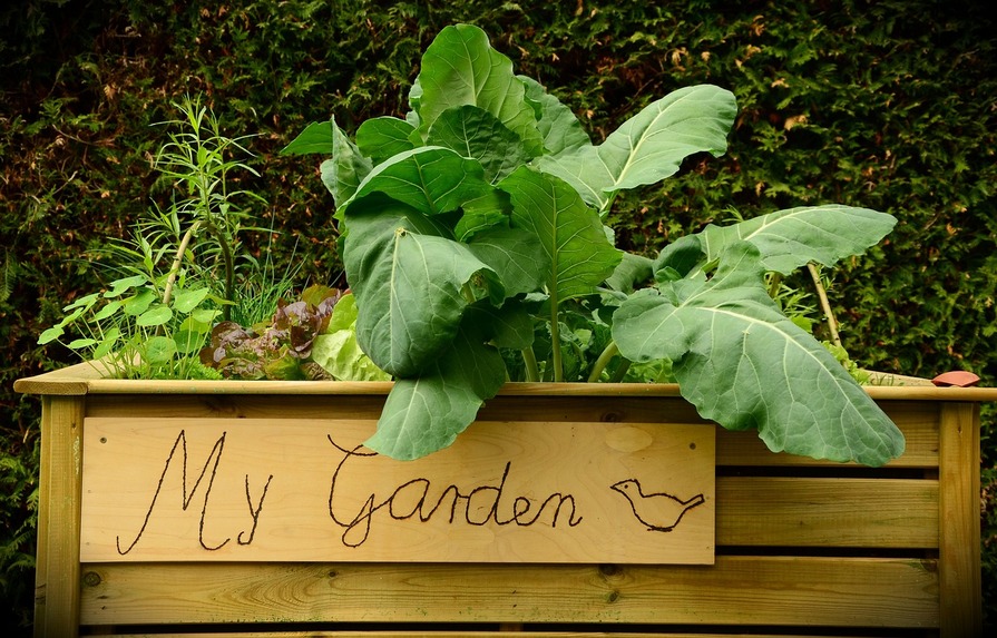 Hochbeet mit Schild My Garden